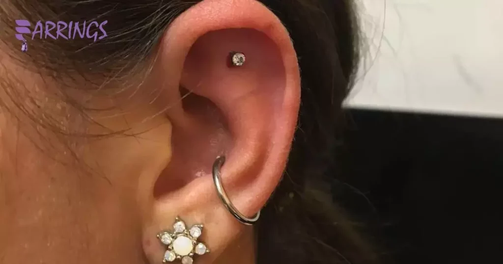 Conch Piercing Options