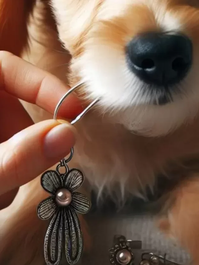 Can An Earring Kill A Dog?